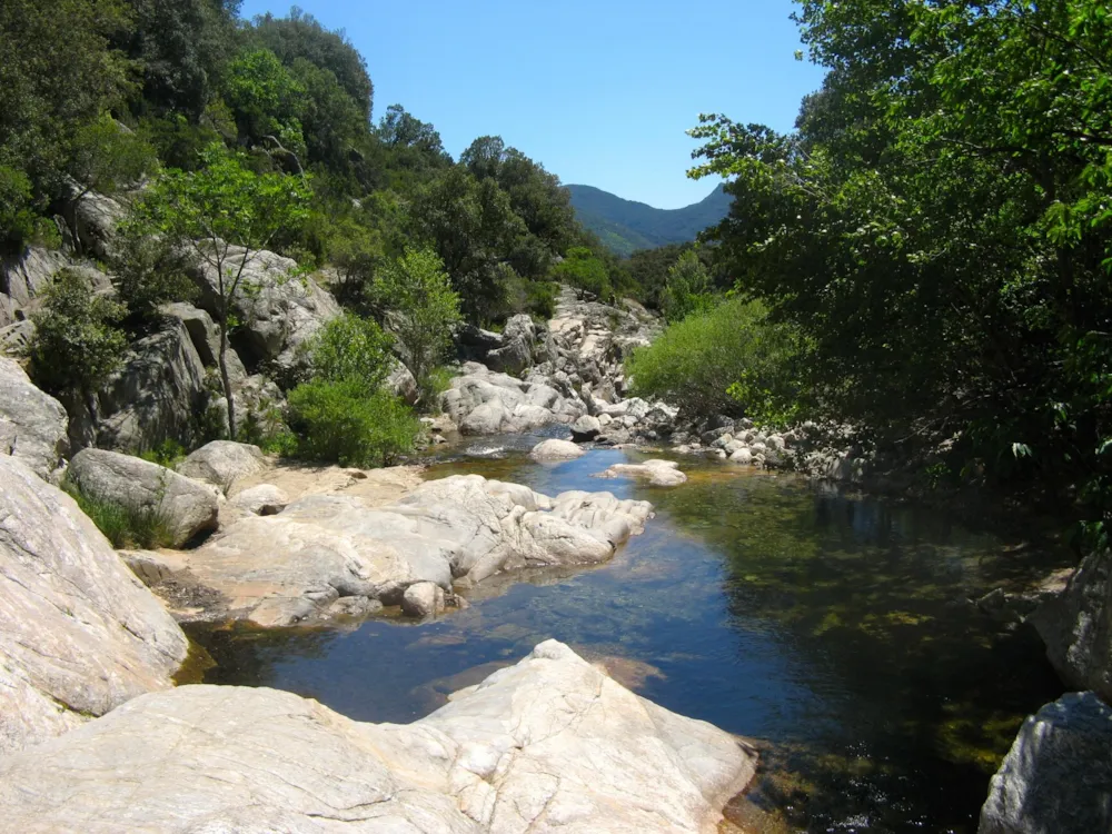 Camping Les Cerisiers du Jaur