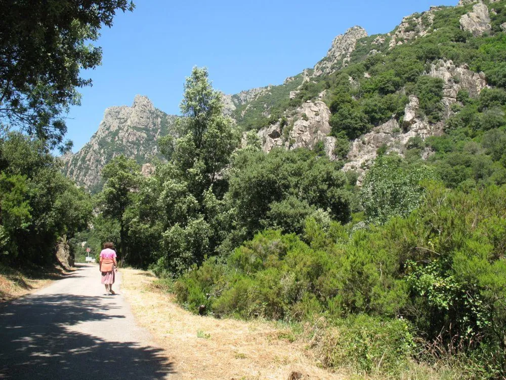 Camping Les Cerisiers du Jaur