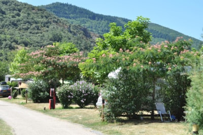 Camping Les Cerisiers du Jaur