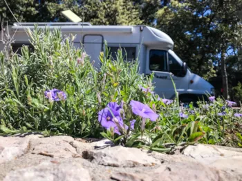 Stellplatz - Parzelle Comfort : Auto + Wohnwagenl/Zelt Ou Wohnmobil + Strom, Wasser Und Abschluss - Camping Park Soline