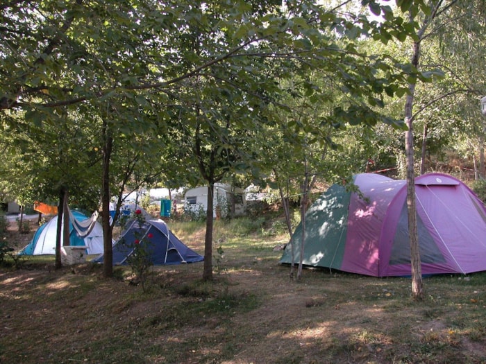 Emplacement Ombragé: Véhicule + Tente/Caravane Ou Camping-Car
