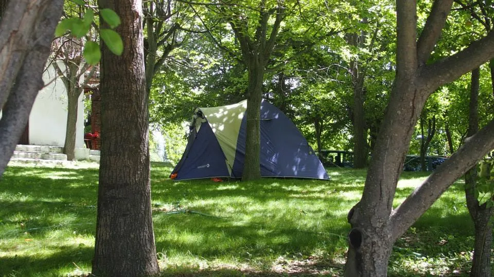 Schaduwrijke standplaats : voertuig + tent / caravan of kampeerauto