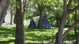 Stellplatz - Schattiger Stellplatz : Fahrzeug + Zelt/Wohnwagen Oder Wohnmobil - Camping Balcon de Pitres