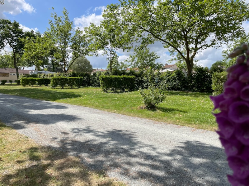 Stellplatz Standart - Fahrzeug