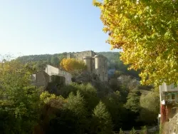 Camping La Rouveyrolle - image n°26 - Ardeche