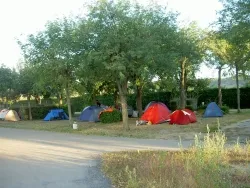 Stellplatz - Pauschale Stellplatz + 1 Fahrzeug + 1 Zelt , Wohnwagen Oder Wohnmobil - image n°5 - Camping La Rouveyrolle