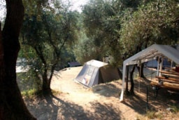 Camping dei Fiori - image n°4 - Roulottes