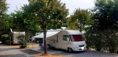 Pitch for Camper/Caravan max m. 7.30 — 1