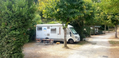 Pitch for Camper/Caravan max m. 7.30 — 3