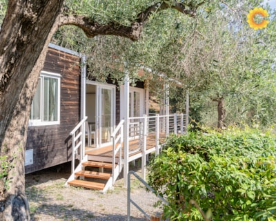 Mobil Home Next — 1