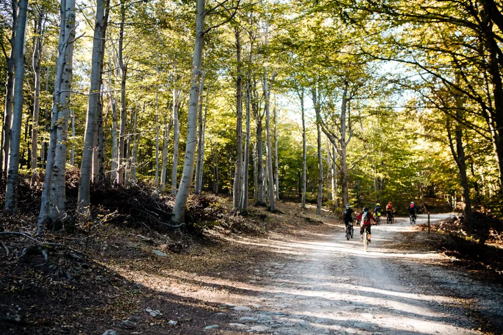 Camping dei Fiori