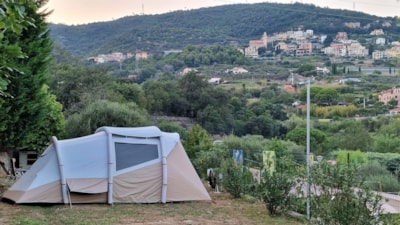 Pitch for Tent max m.7x4 — 1