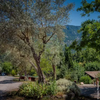 Domaine de la Gautière - image n°3 - Camping Direct