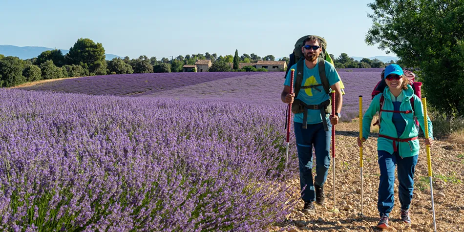 Domaine de la Gautière
