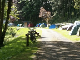 Kampeerplaats(en) - Pakket Wandelaar : Tent + Fietsen Zonder Elektriciteit - Flower Camping des Vallées