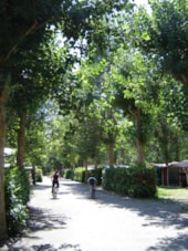 Camping Le Rioumajou