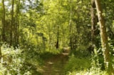 Foto #14 van Camping le Pont