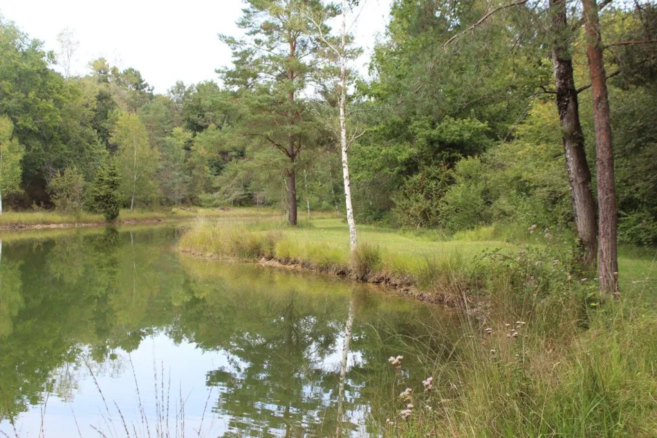 Camping L'Étang Bleu