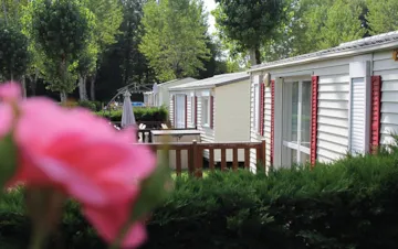 Accommodation - Mobile Home Eva 8003  - - Camping L'Étang Bleu