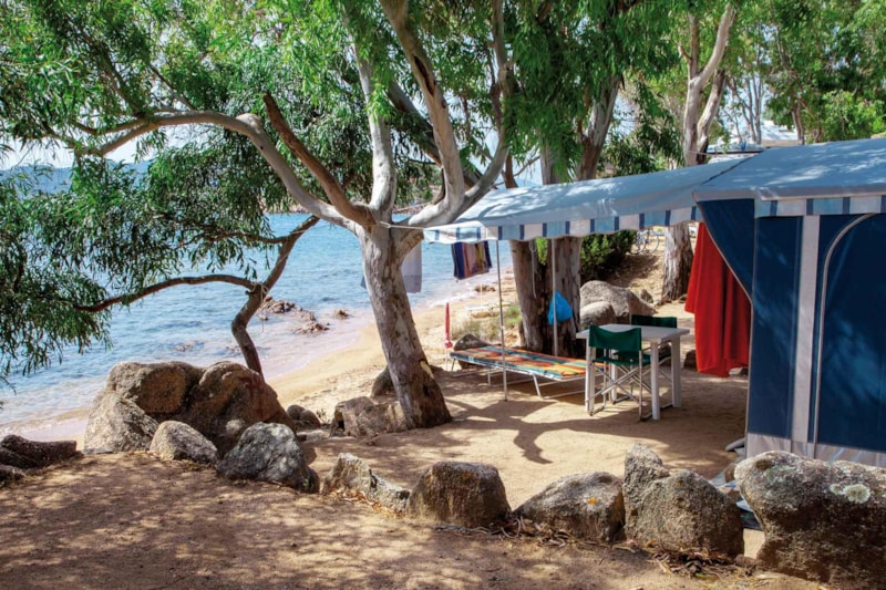 Premium Plus Stellplatz