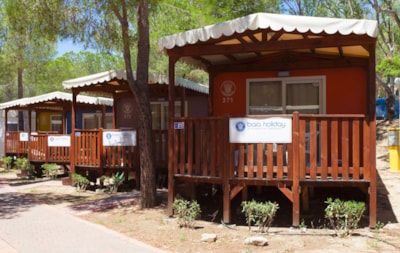 Mobile Home BAIA RELAX NEW — 1