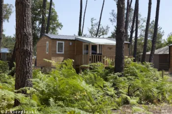 Mietunterkunft - Cottage 2 Schlafzimmer *** - Camping Sandaya Soustons Village