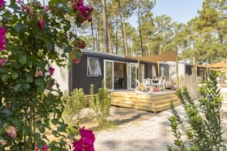 Mietunterkunft - Cottage Cocoon 3 Schlafzimmer Klimaanlage Premium - Camping Sandaya Soustons Village