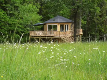 Mietunterkunft - Superior-Kabine - Castelwood
