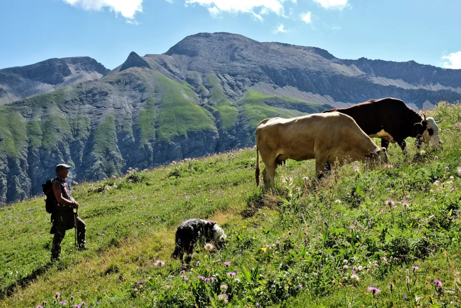 le Petit Liou Sites & Paysages