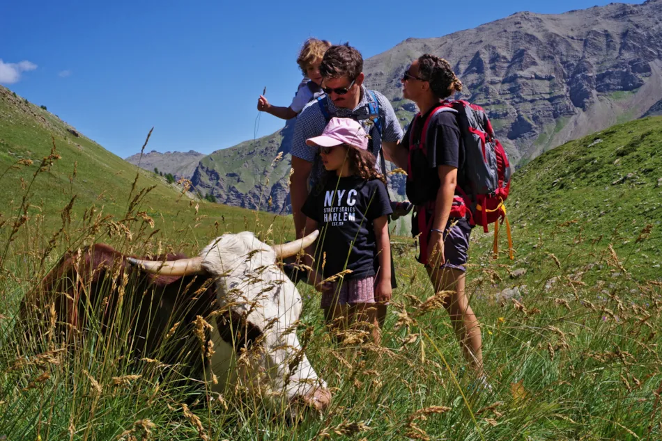 le Petit Liou Sites & Paysages