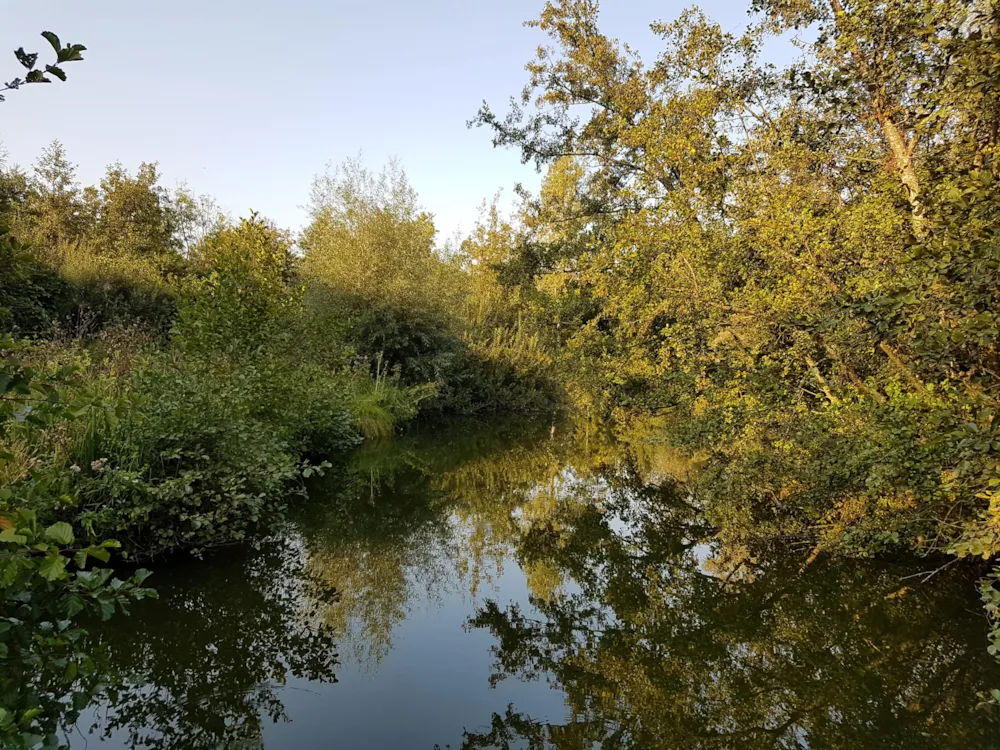 Camping du Vivier aux Carpes - image n°8 - UniversalBooking