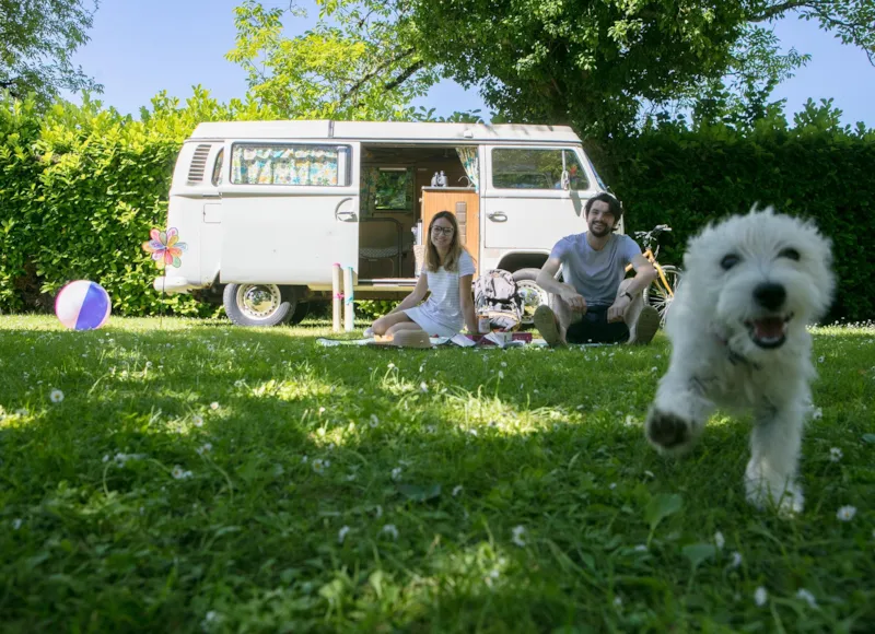 Emplacement Confort (Tente, Caravane Ou Camping-Car - Électricité 10A - Superficie Moyenne 120M²)
