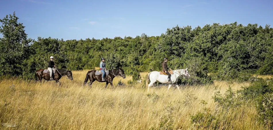 Camping LES 2 VALLÉES