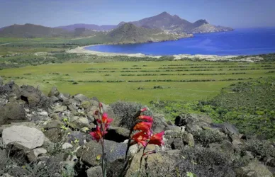 Camping Los Escullos - image n°3 - Camping Direct