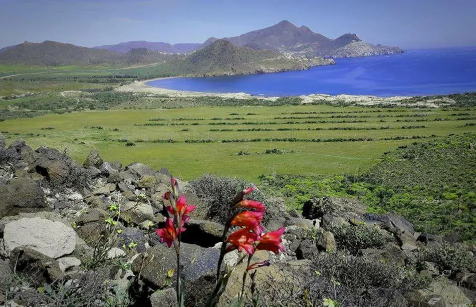 Camping Los Escullos