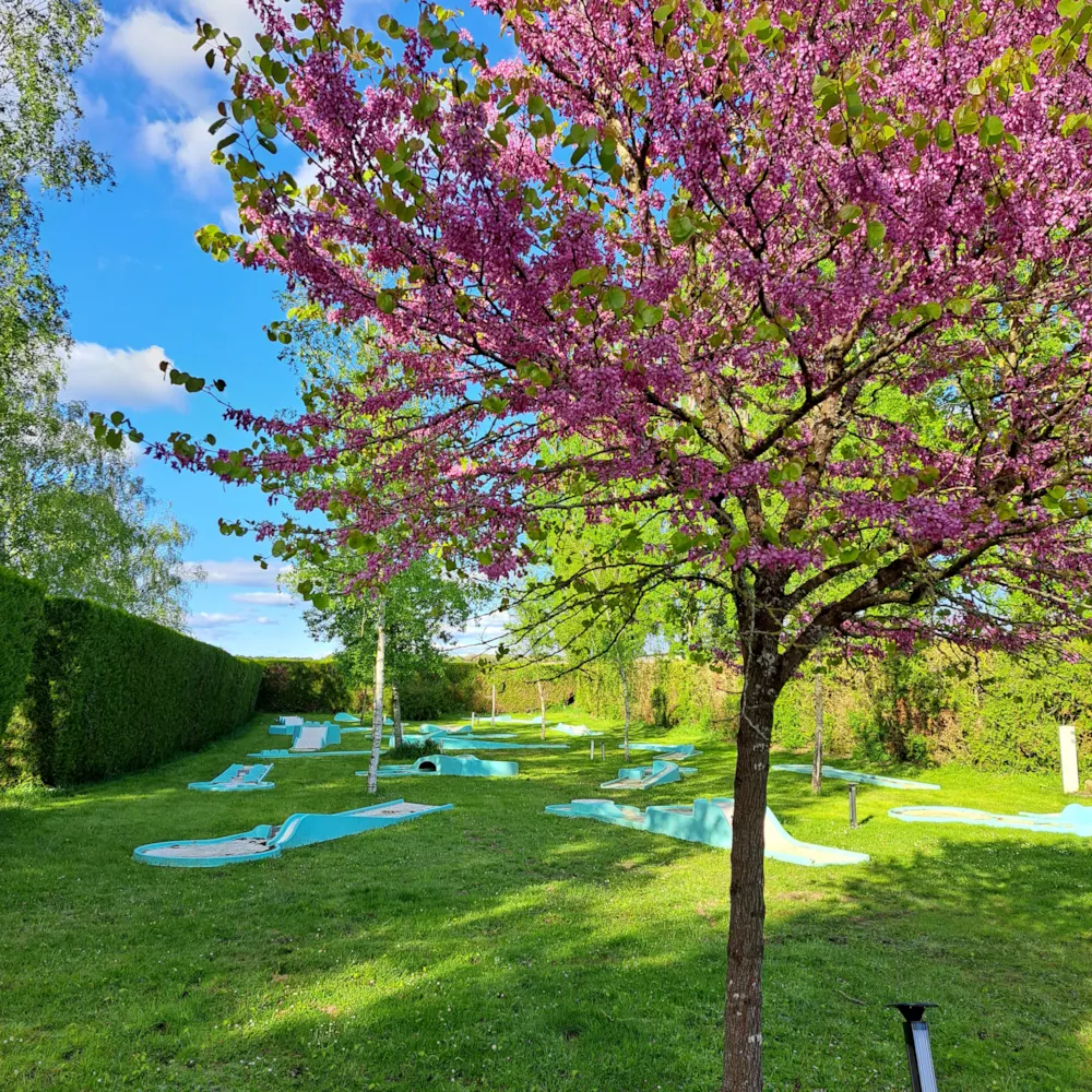 Camping Château de la Rolandière