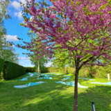 Foto #23 van Camping Château de la Rolandière