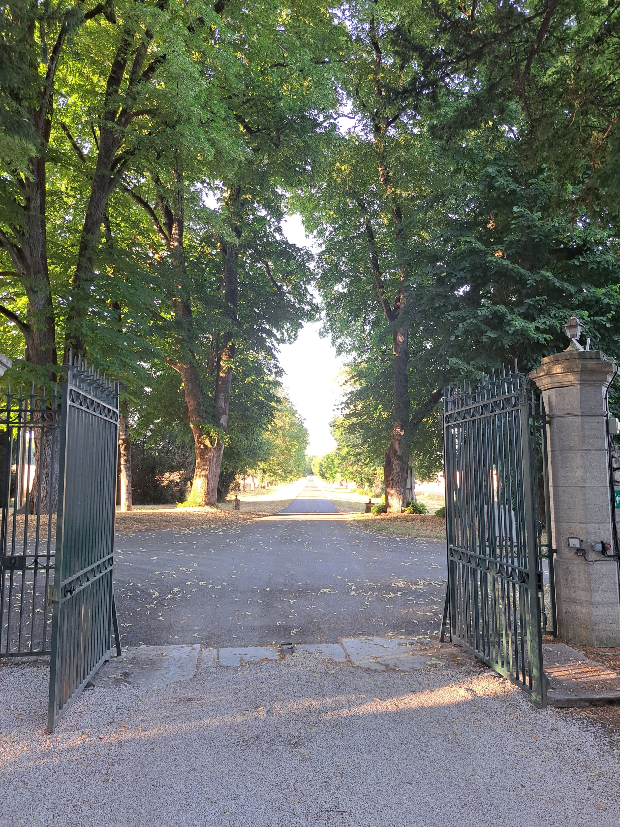 Camping Château de la Rolandière — Photo 8