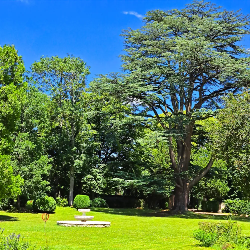 Camping Château de la Rolandière