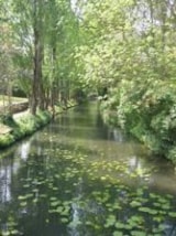 Foto #40 van Camping Le Bois Fleuri