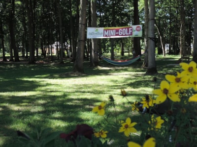 Camping Le Bois Fleuri