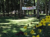 Foto #3 van Camping Le Bois Fleuri