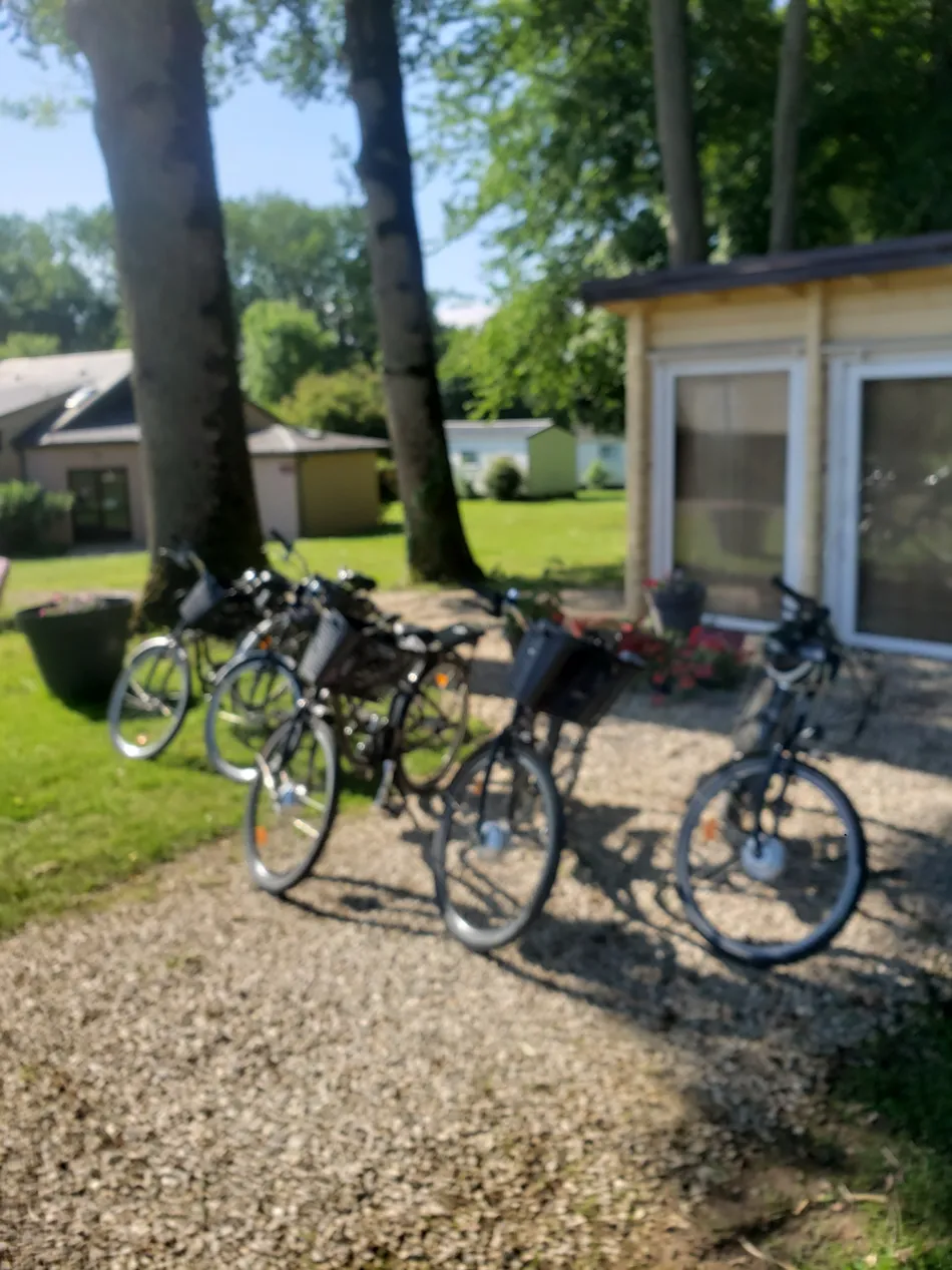 Camping Le Bois Fleuri