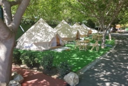 Alojamiento - Tiendas Glampings - Camping  El Pino