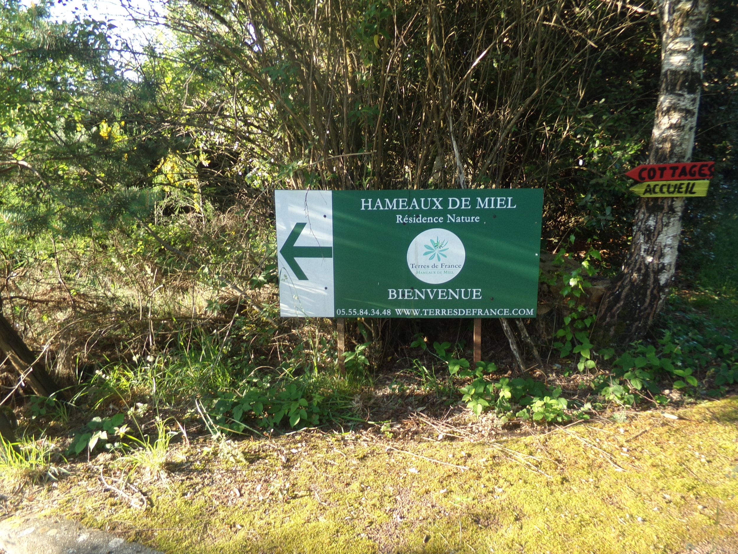 Les Hameaux de Miel - Terres de France — Photo 7