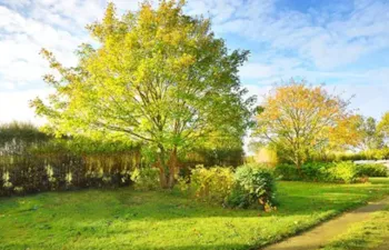 Stellplatz - Stellplatz Classic| ≥80M2| Ohne Strom - Camping Tohapi - Le Phare d'Opale