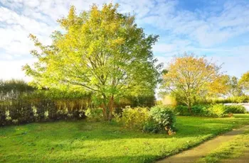 Stellplatz - Stellplatz | Klassisch | <85M² | Kein Strom - Camping Tohapi - Le Phare d'Opale
