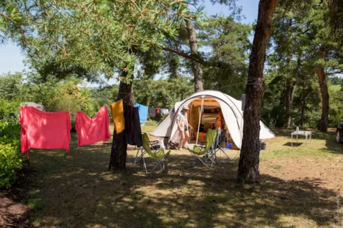 Emplacement - Emplacement Nature - Plus De 150M² (Avec Électricité) - image n°4 - Domaine la Garenne