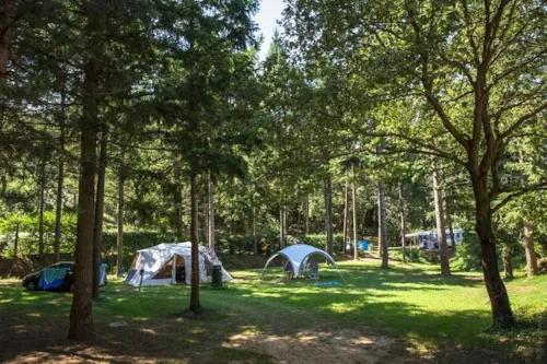 Pitch - Pitches Nature Xxl - Over 250 Sqm (With Electricity) - image n°5 - Domaine la Garenne