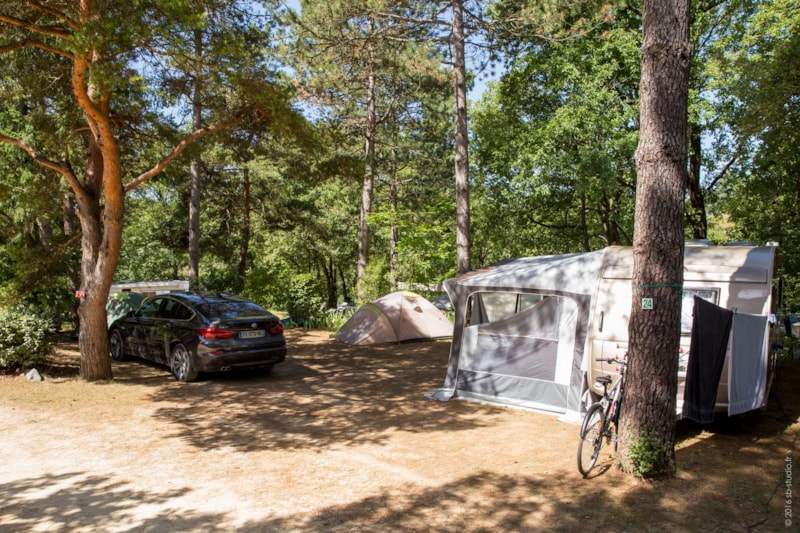 Stellplätze NATURE XL - Mehr als 200m² (mit Strom)